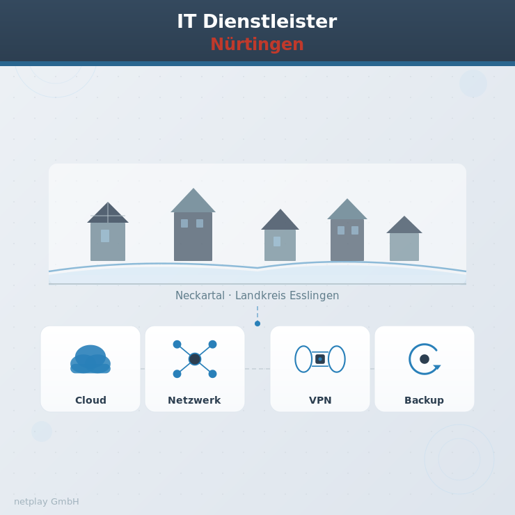 IT Dienstleister Nürtingen — netplay GmbH